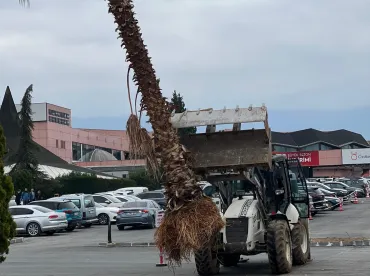 İzmit Çevre Düzenleme Ve Peyzaj İşleri